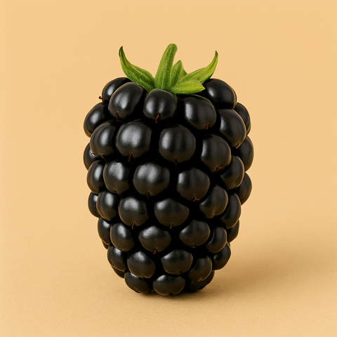 Natürliches Brombeer Aroma (kbA)