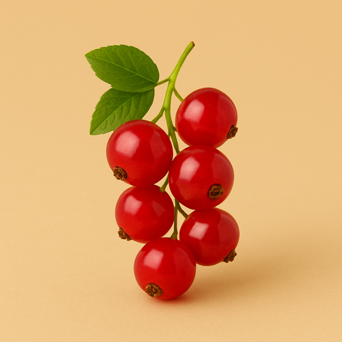 Natürliches Johannisbeer Aroma