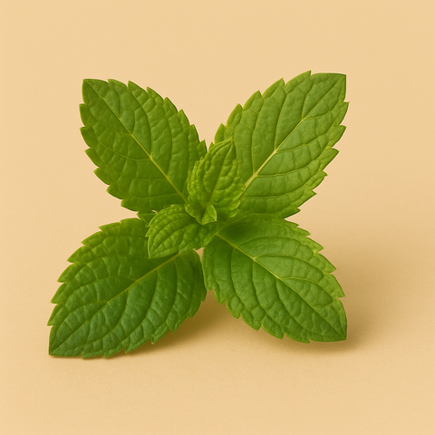 Pfefferminz Aroma