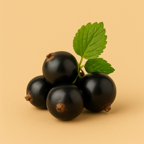 Natürliches schwarze Johannisbeer Aroma