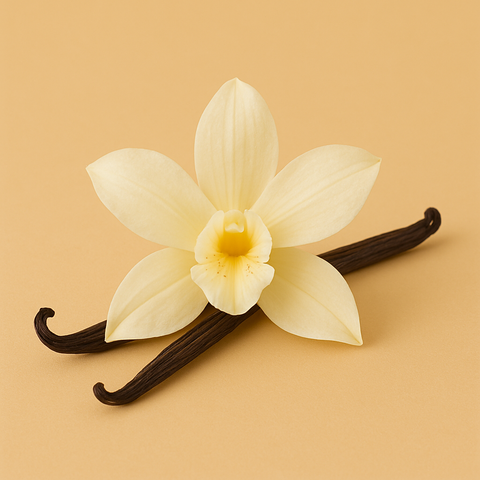 Bio Bourbon Vanille Extrakt (flüssig)