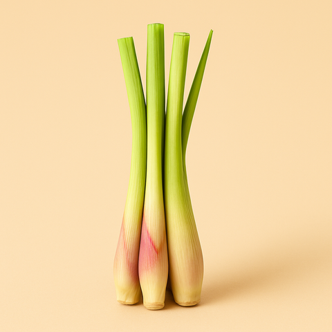 Zitronengras Destillat