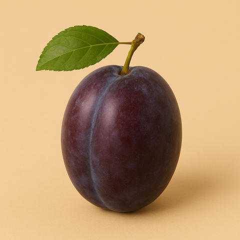 Natürliches Zwetschgen Aroma